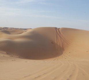 Dünen der Wüste in Abu Dhabi