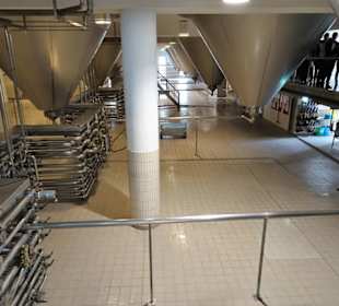 In den Gärkellern der Brauerei Stiegl