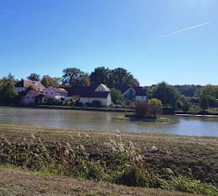 Der große Dorfweiher