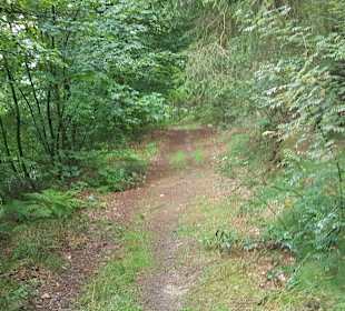 Wandern Schmallenberg