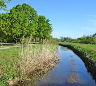 Die namensgebende Wietze trennt die Parkteile