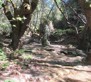 Trockenzeit, wenig Wasser, kleiner Fall