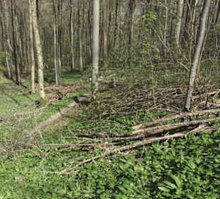 Wanderweg Hochgehkämpft