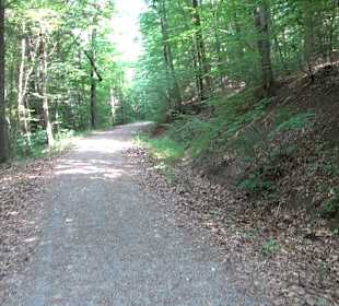 Rundwanderung Klingenbachtal - Sulzbachsee