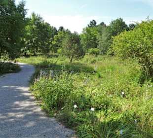 Rundgang durch den Ökologisch-Botanischen Garten