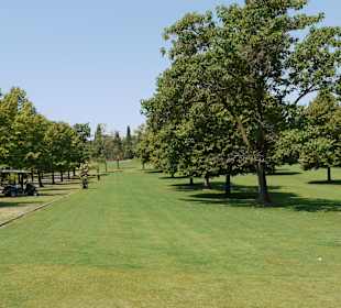 Ein traumhafter Park cder sich lohnt zum Besuch