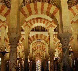 Mehr als 800 Hufeisenbogen