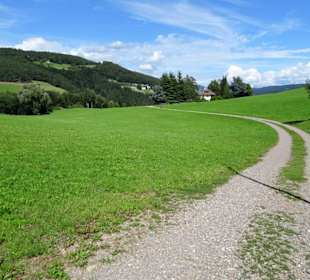 Auf dem Wanderweg ab Jenesien