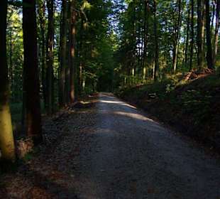 Wanderung zum Signalstein Fränk.Schweiz