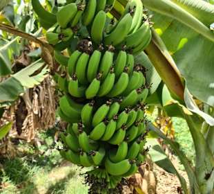 Agadir Excursions Rachid