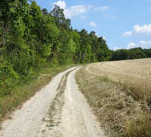 Eindrücke von der Wanderung auf dem Nothelferweg