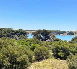 Rottnest Island
