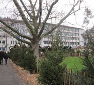 Weihnachtsmarkt Karlsruhe