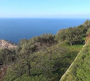 Son Marroig
