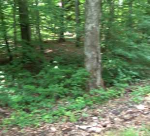 Wanderweg - Alter Steinbruch Pfaffenberg Runde