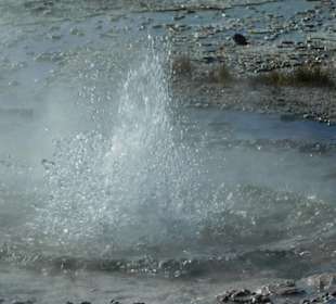 Annemonen geysir