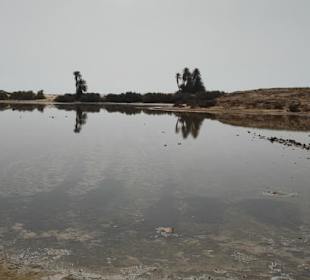 Saline nach der Regenzeit