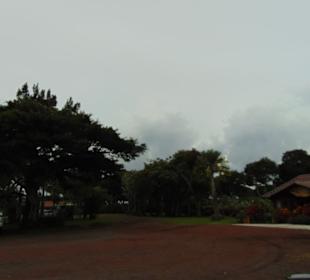 Doka Estate Kaffeeplantage