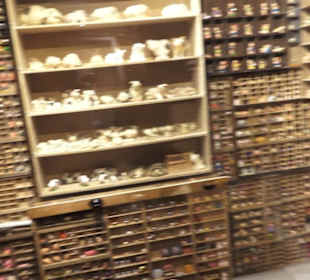 Schweinemuseum