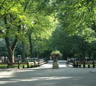 Die Mall im Central Park