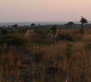 Krüger Nationalpark