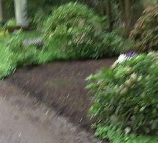 Waldfriedhof Degerloch