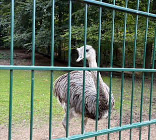 Alsdorf Zoo