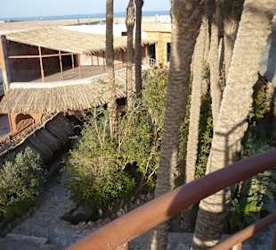 Neues Meeresaquarium in der Nähe des Hotels (ca.1km)