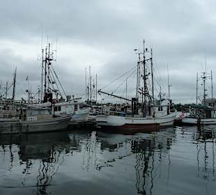Fiserboote  Fisherman's Wharf 