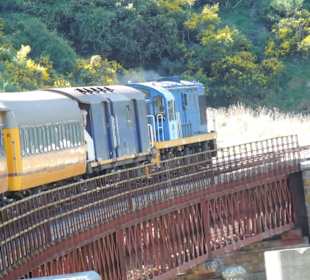 Mitder Taileri Railway durch die Natur Neuseelands