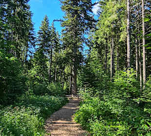 Wandern Freudenstadt