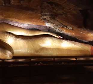 Karandeniya Tempel / Liegender Buddha