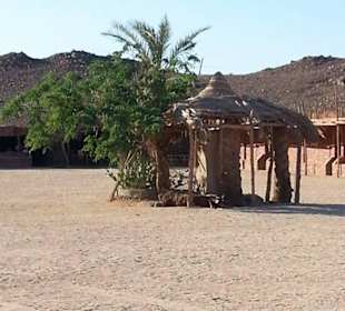 Quadtour...Bei Delfinauslfug mit Mo