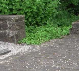 Evangelische Kirche Engeltal Hallwangen