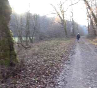 Schönbuch Schaichtal