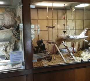Exotarium 