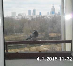 Warszawski Skyline z praskiej strony.