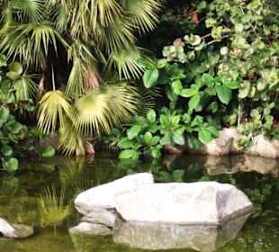 Der "Madagaskar-See" im Garten