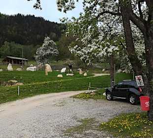 Alpen Wildpark Feld am See