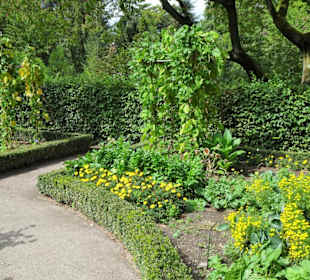 Im Bauerngarten des Botanischen Gartens