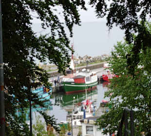 Kutter im Fischerei-Hafen