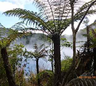 Farn vor dampfendem See
