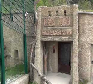 Südamerika Bereich - Jaguarhaus