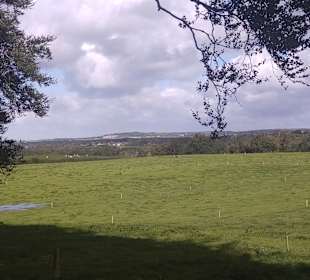 Landschaft bei "The Dark Hedges"