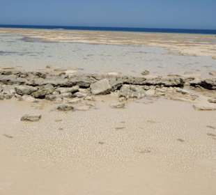 Schnorcheln mit Abdul