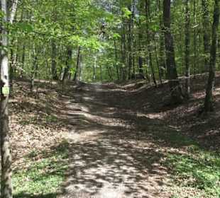Wanderweg Hochgehwachsen