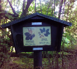 Natur und Vogellehrpfad Längwieser Wald Dittweiler
