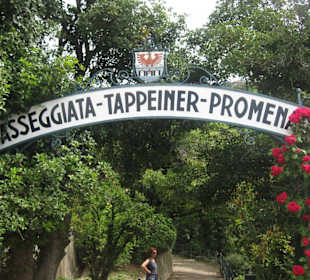 Unterhalb Dorf Tirol beginnt dieser Weg