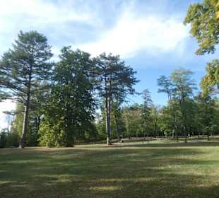 Hofgarten