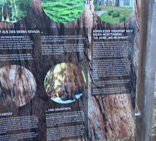 Wanderung rund um den Ochsenweiher